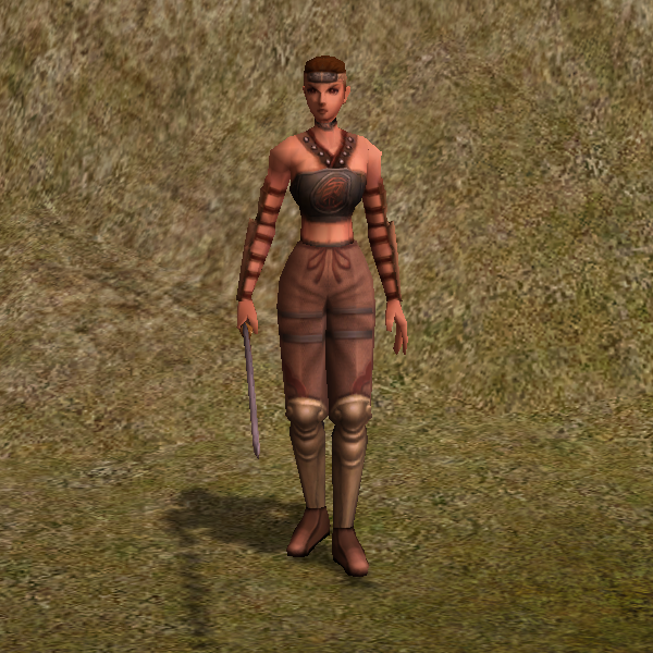 korkak beyaz yeminli asker metin2