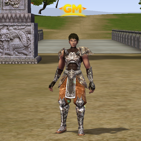 karınca aslan takım metin2