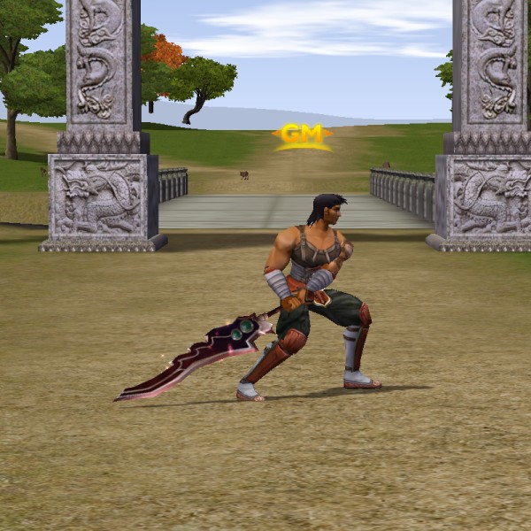 on iki ruh kılıcı metin2